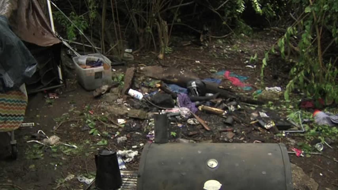 Vigo County homeless camp